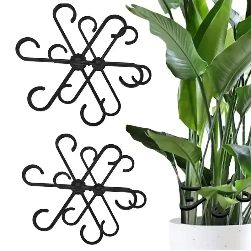Variegated Monstera Node - Опоры для листьев алоказии и монстеры,