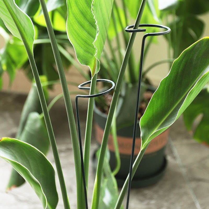 1/10 шт., садовое опорное коль – обзор и цена Plant Parent Tools