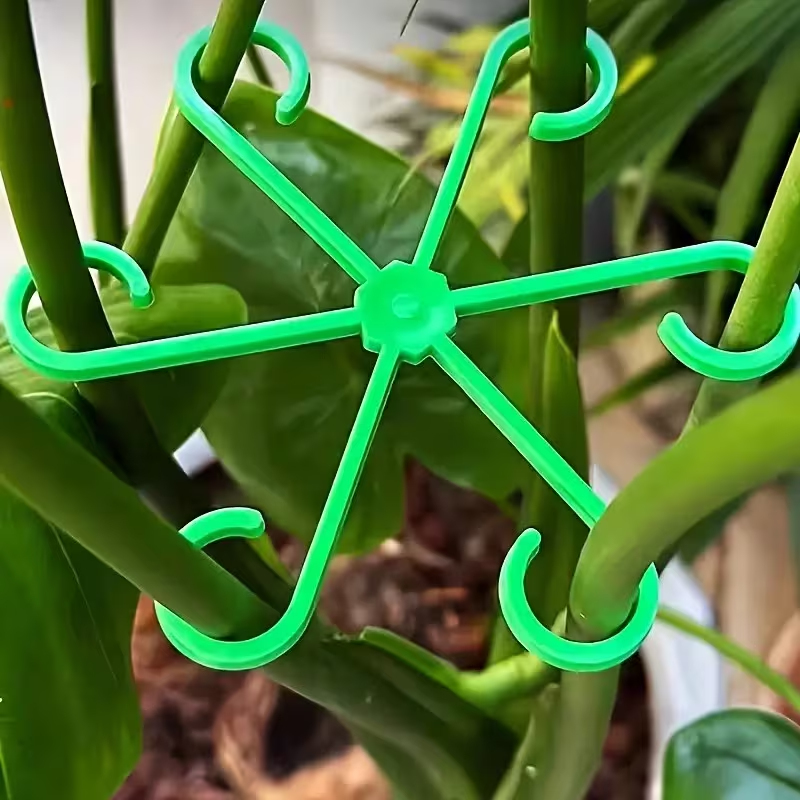 Набор из 8 опор для стеблей ра – обзор и цена Variegated Monstera Node