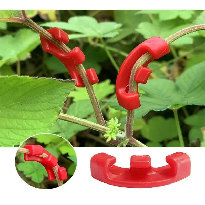 10-100 шт. зажимов для сгибани – обзор и цена Plant Parent Tools