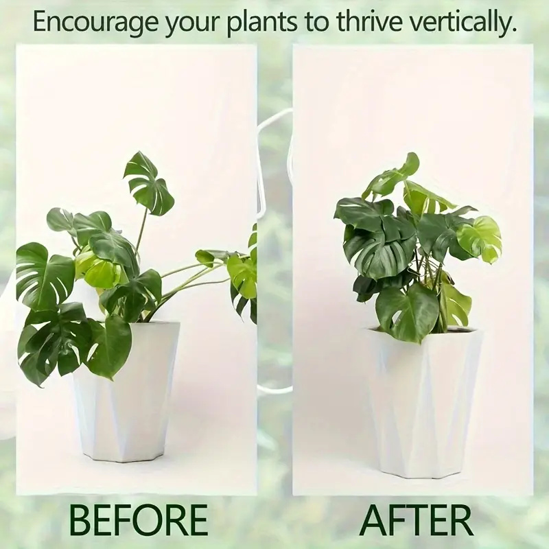 1 шт. большая подвесная подста – обзор и цена Plant Parenting