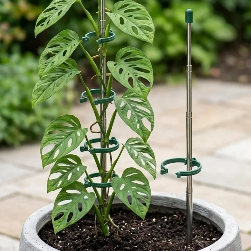 5/1 шт. Выдвижные кольцевые оп – обзор и цена Plant Parent Tools