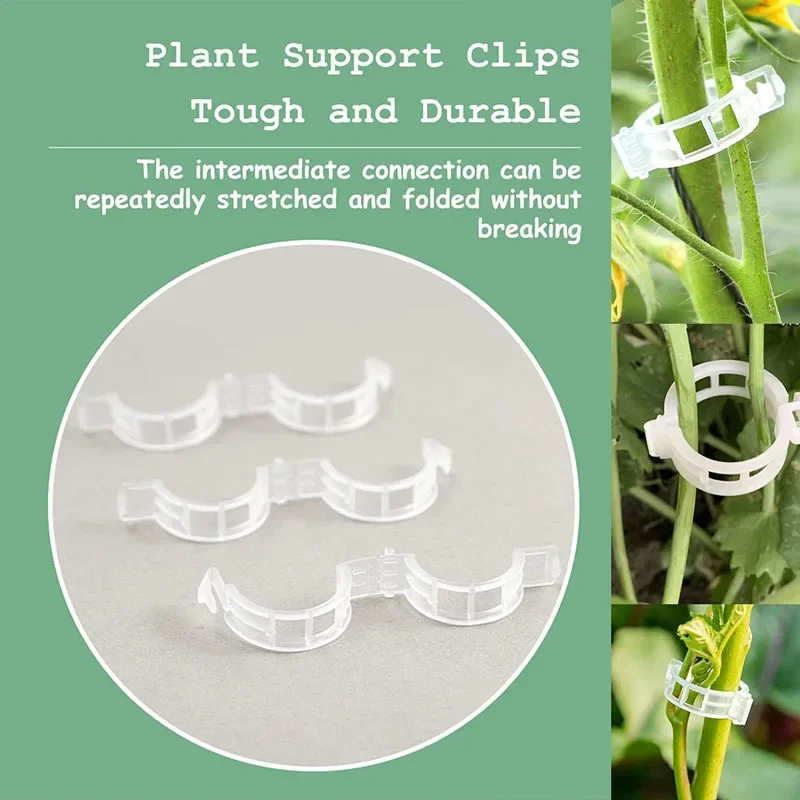 100 шт. зажимы для крепления р – обзор и цена Plant Parent Tools