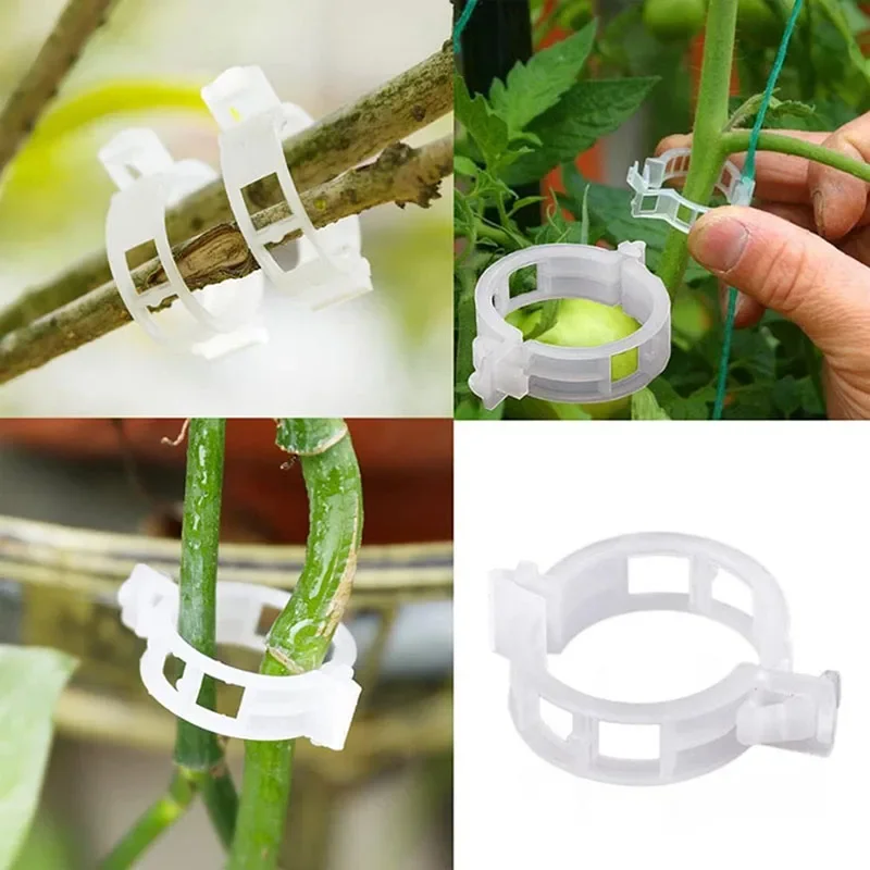 100 шт. зажимы для крепления р – обзор и цена Plant Parent Tools