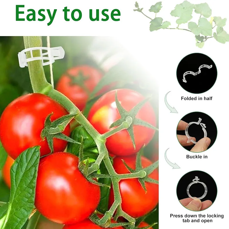 100 шт. зажимы для крепления р – обзор и цена Plant Parent Tools