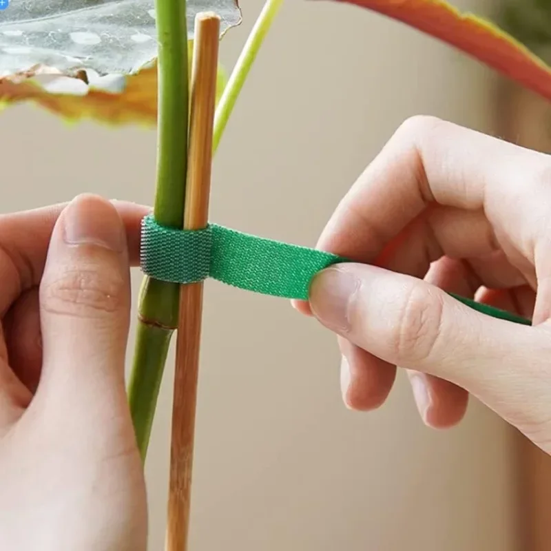 Многоразовые нейлоновые ленты  – обзор и цена Plant Parenting