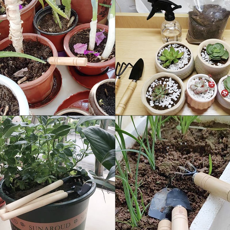 3 шт./1 компл. мини-набор садо – обзор и цена Plant Parent Tools