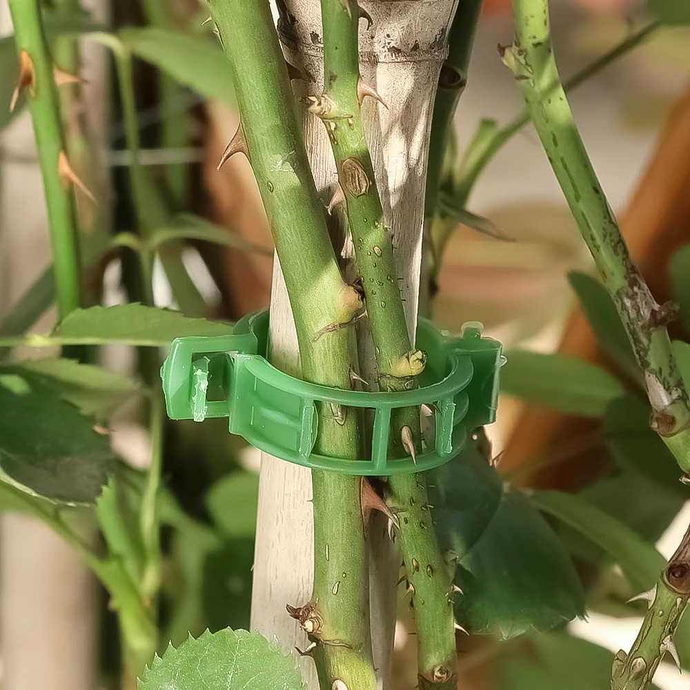 100/10 шт. пластиковых зажимов – обзор и цена Plant Parent Tools