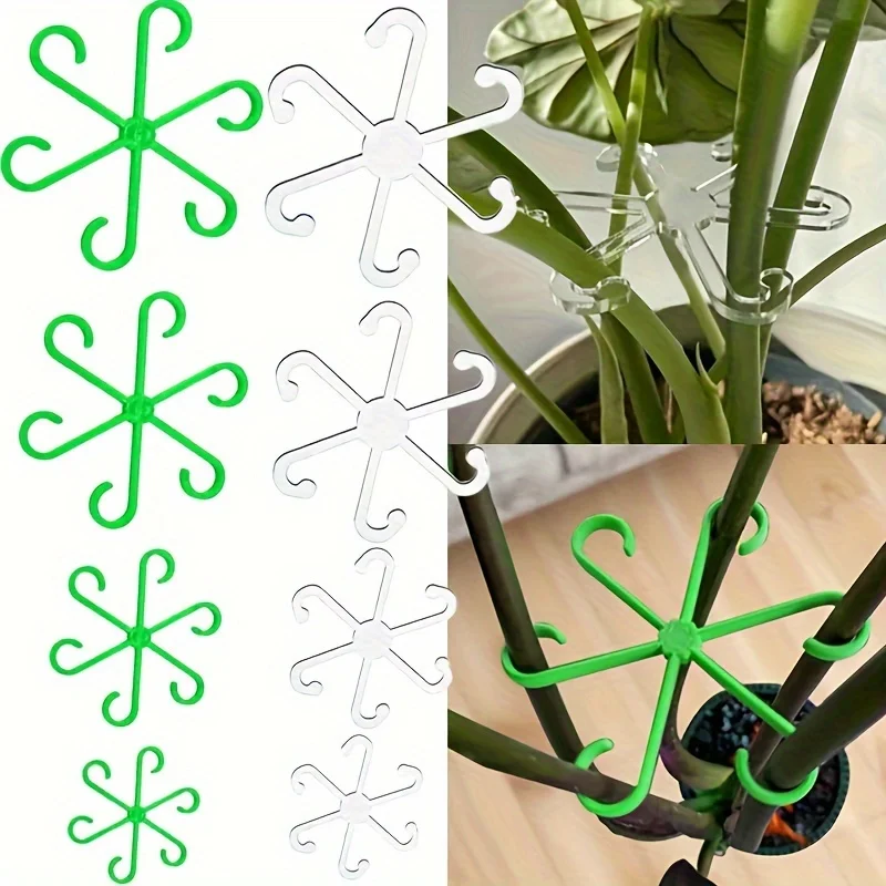 Комплект из 4 крепежных клипс  – обзор и цена Variegated Monstera Node