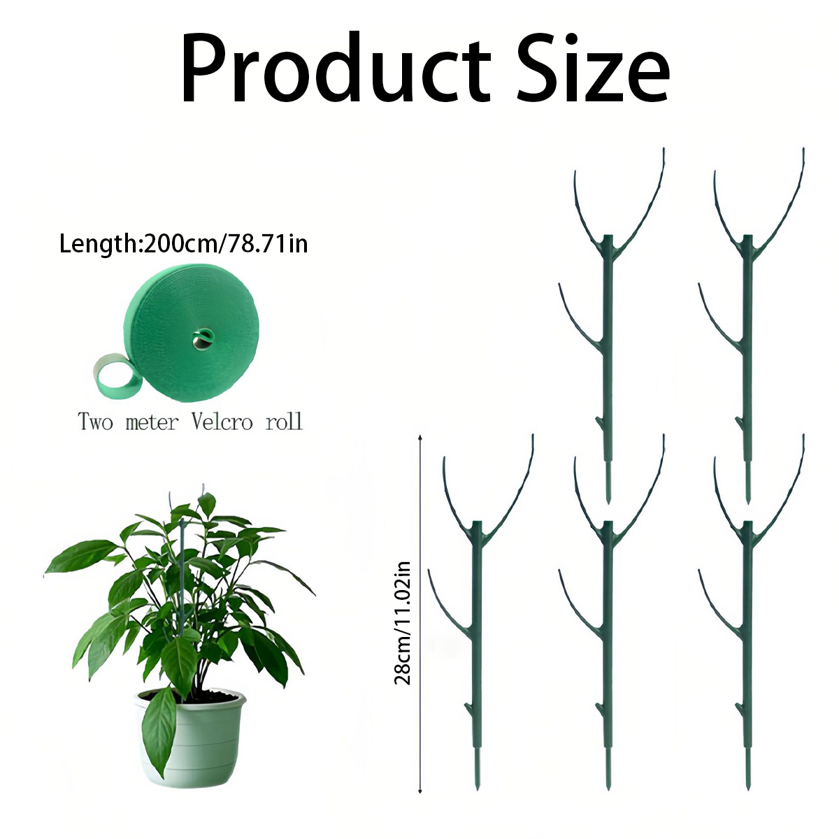 6 шт. опорных колышек для раст – обзор и цена Variegated Monstera Node