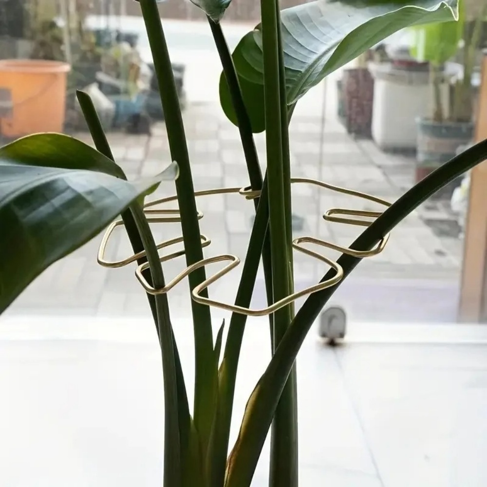 1 шт. Большая подставка для ра – обзор и цена Variegated Monstera Node