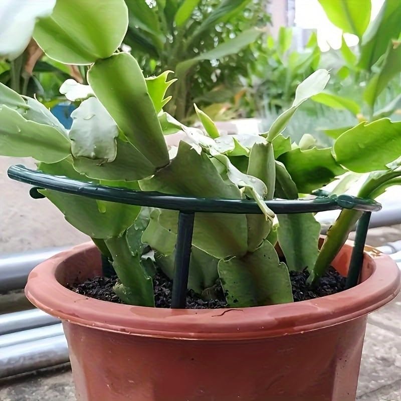 30-1 шт. Пластиковая полукругл – обзор и цена Plant Parent Tools