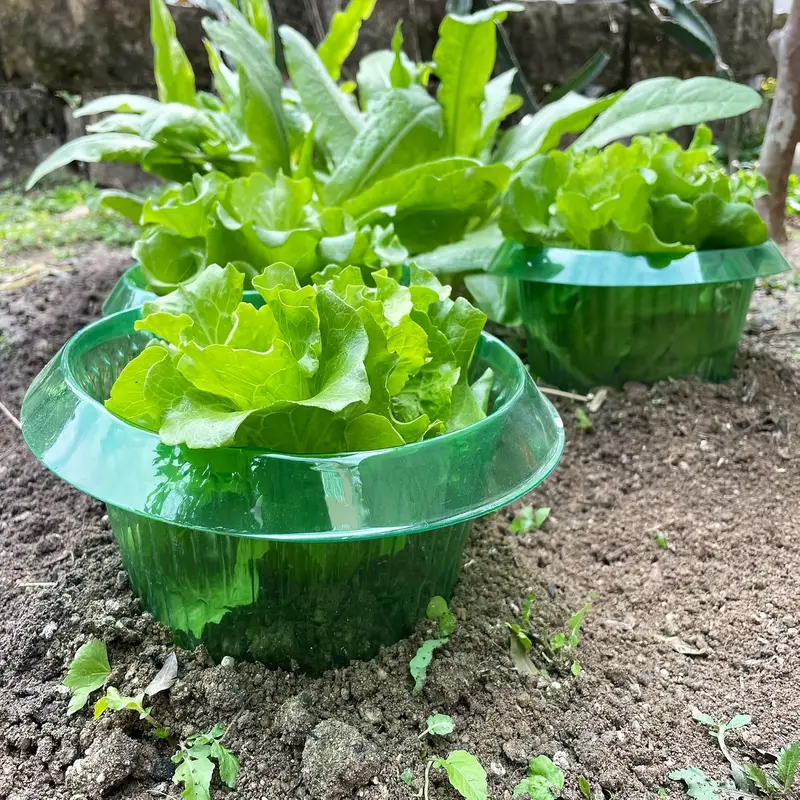 Защитные кольца для слизи раст – обзор и цена Plant Parent Tools