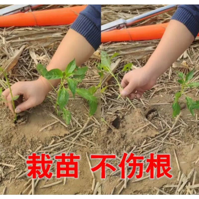 Садовый инструмент для посадки – обзор и цена Plant Parent Tools