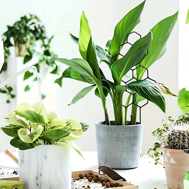 1 шт. Сетчатая опора для расте – обзор и цена Plant Parenting
