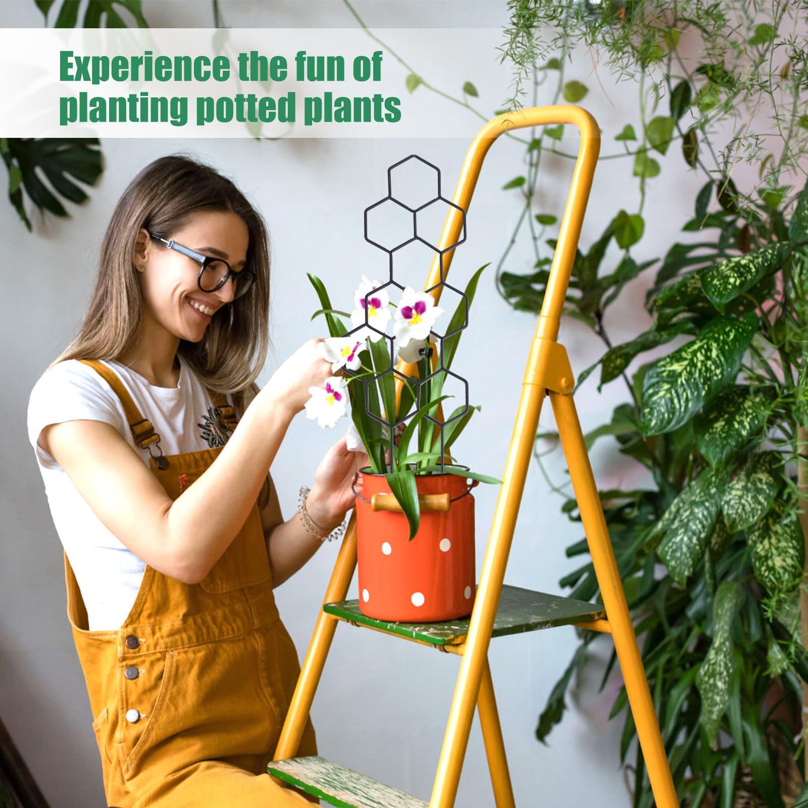 1 шт. Сетчатая опора для расте – обзор и цена Plant Parenting